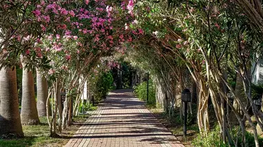 SEADEN SEA WORLD RESORT & SPA