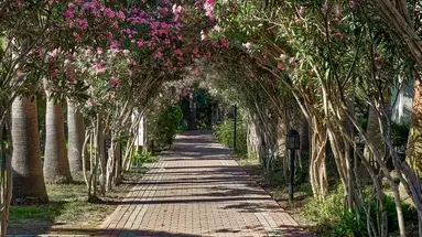 Seaden Sea World Resort & Spa