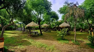Seaden Sea World Resort & Spa