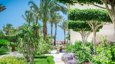 SEAGULL BEACH RESORT & CLUB