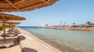 SEAGULL BEACH RESORT & CLUB
