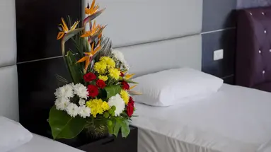 Seagull Beach Resort****