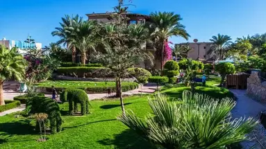 Seagull Beach Resort****