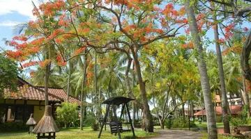 SEAHORSE RESORT & SPA