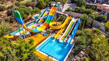 Sealight Family Club