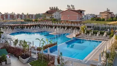 Seashell Vega