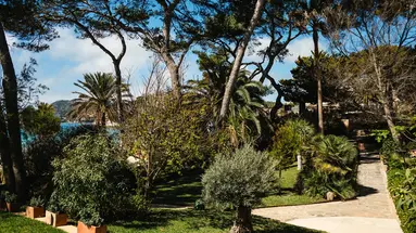 SECRETS MALLORCA VILLAMIL RESORT & SPA (ADULTS ONLY 18+)
