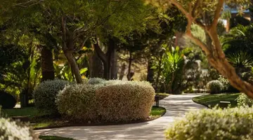 Secrets Mallorca Villamil