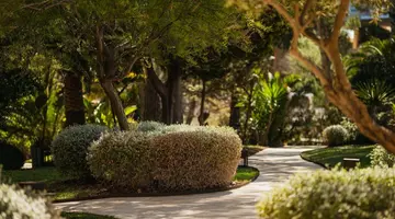 Secrets Mallorca Villamil