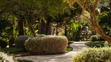 Secrets Mallorca Villamil