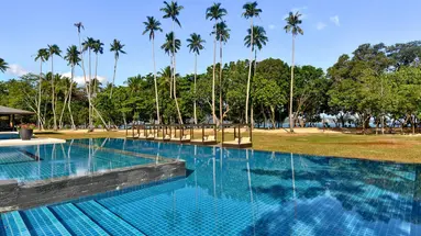 Seda Lio