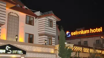 Selenium Hotel