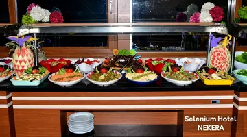 SELENIUM HOTEL