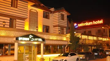 Selenium Hotel