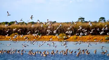 Senegal i Gambia