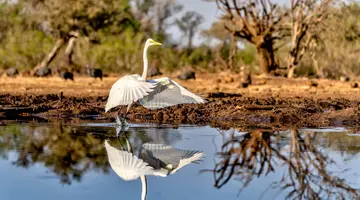 Senegal i Gambia