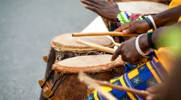 Senegambia - spacer z lwami