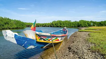 Senegambia - spacer z lwami