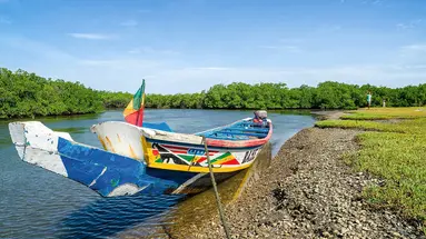 Senegambia - spacer z lwami
