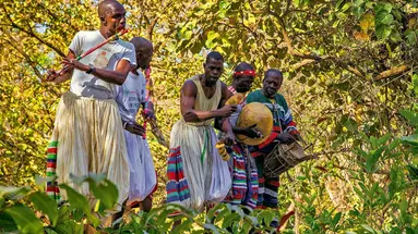 Senegambia - spacer z lwami