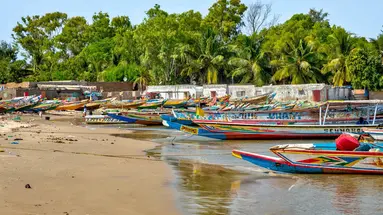 Senegambia - spacer z lwami