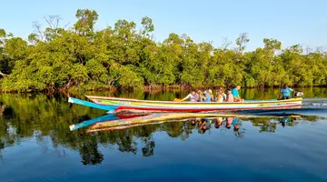Senegambia - spacer z lwami