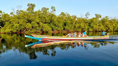 Senegambia - spacer z lwami