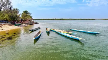 Senegambia - spacer z lwami