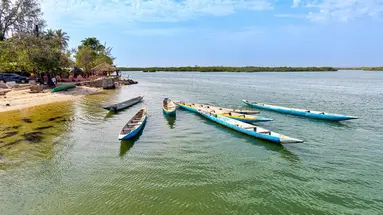 Senegambia - spacer z lwami