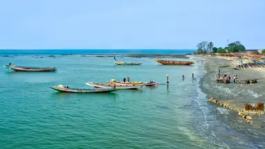 Senegambia - spacer z lwami