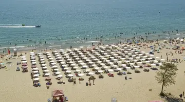 SENTIDO BELLEVUE