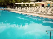 Sentido Fido Tucan