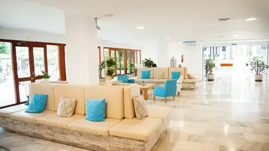 Sentido Fido Tucan