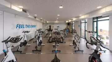 Sentido Galosol
