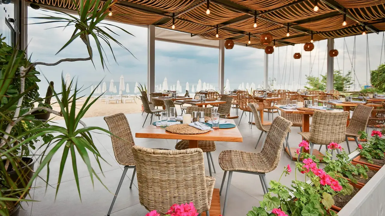 Sentido Marea
