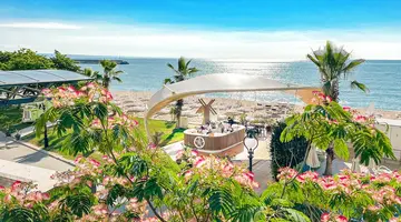Sentido Marea