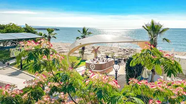 Sentido Marea