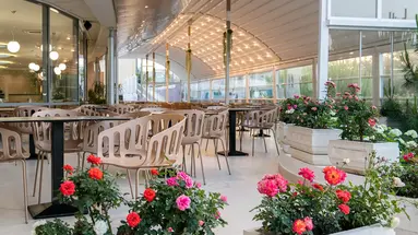 SENTIDO NEPTUN BEACH HOTEL (ex. NEPTUN BEACH HOTEL)