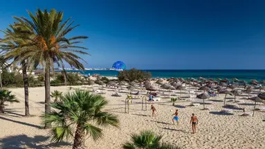 SENTIDO PHENICIA