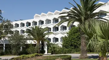 Sentido Phenicia