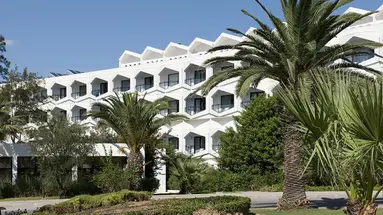 Sentido Phenicia