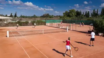 SENTIDO PHENICIA