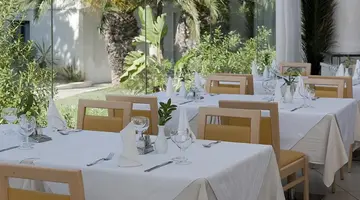 Sentido Phenicia
