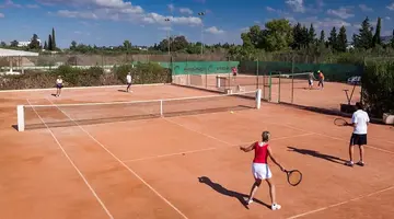 SENTIDO PHENICIA