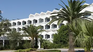Sentido Phenicia