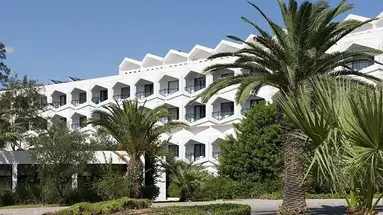 Sentido Phenicia