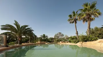 Sentido Phenicia
