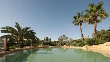 Sentido Phenicia