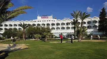 Sentido Phenicia
