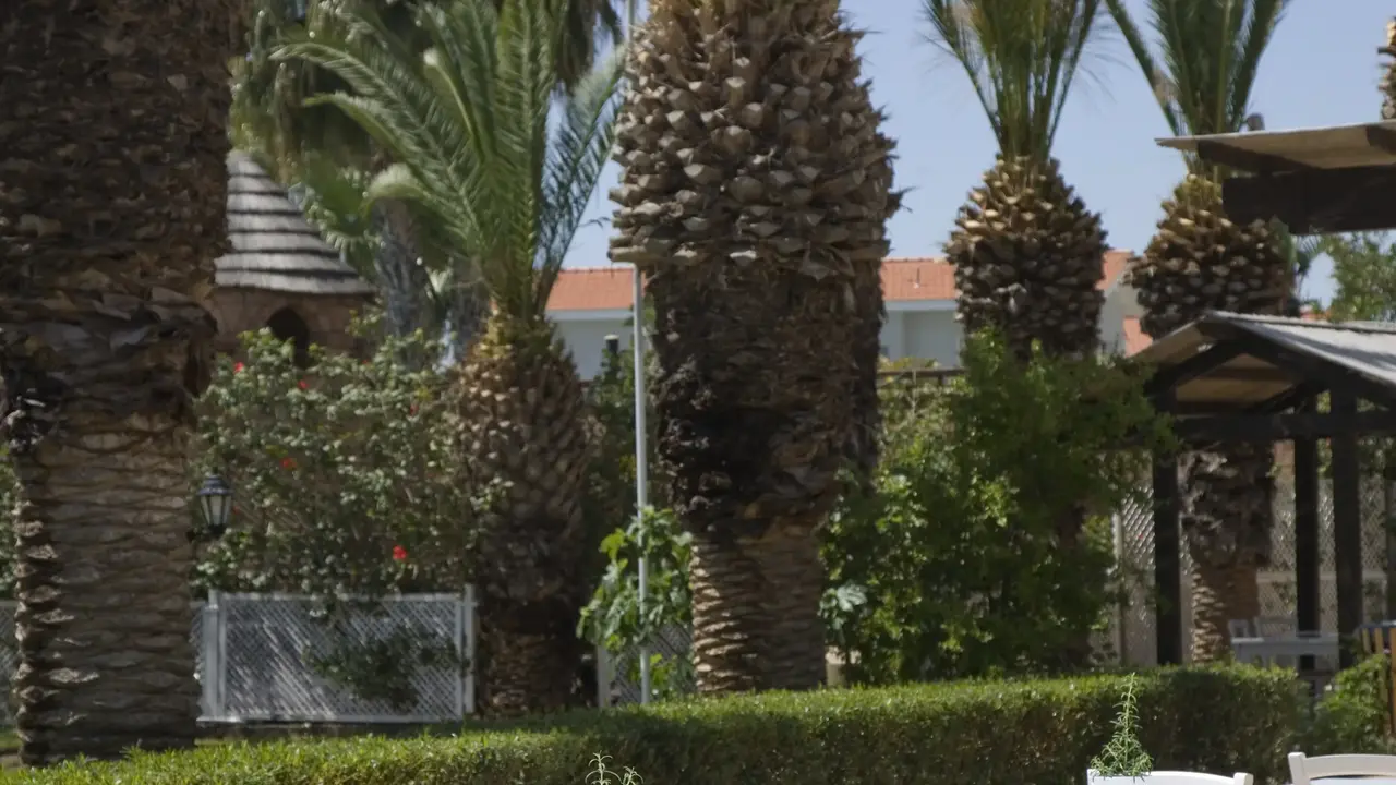 SENTIDO SANDY BEACH